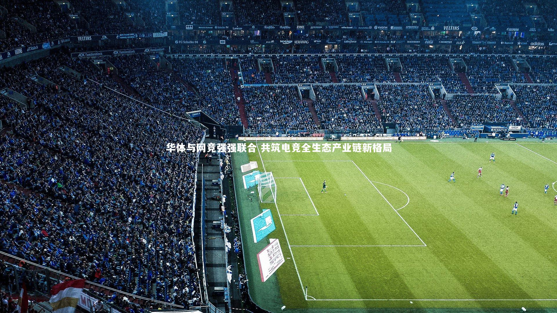 华体与网竞强强联合 共筑电竞全生态产业链新格局