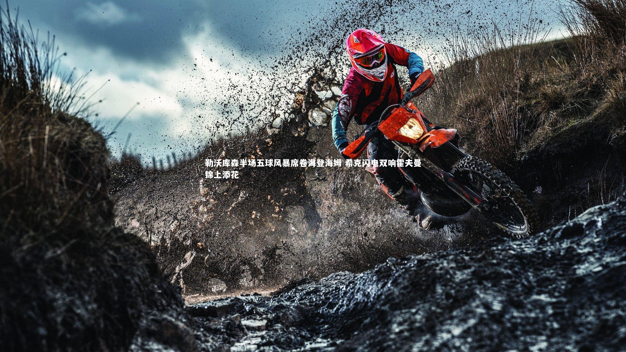 勒沃库森半场五球风暴席卷海登海姆 希克闪电双响霍夫曼锦上添花